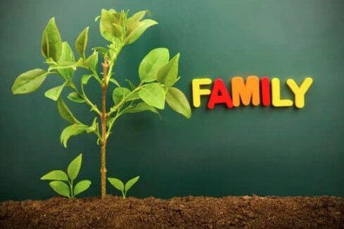 growing tree with the word family - per stirpes