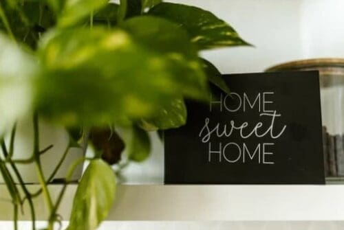 buying or selling house in the summer