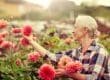 estate planning for CT snowbirds
