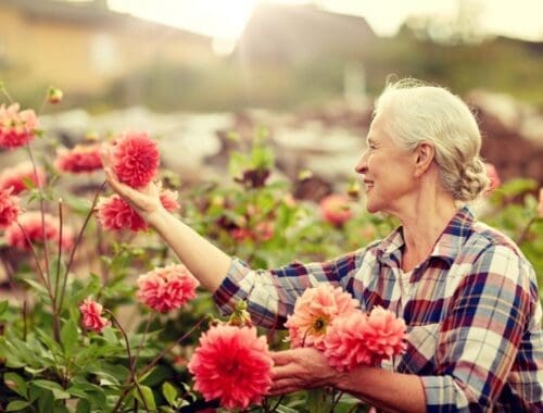 estate planning for CT snowbirds
